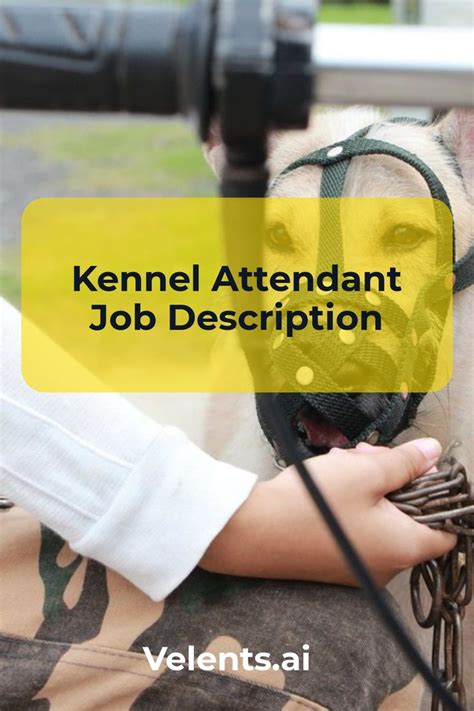 kennel assistant salary|kennel assistant job description.